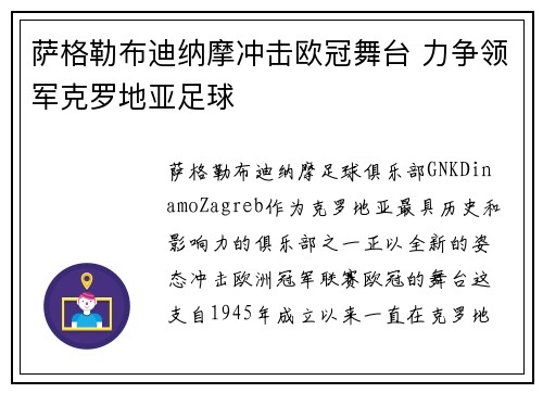萨格勒布迪纳摩冲击欧冠舞台 力争领军克罗地亚足球